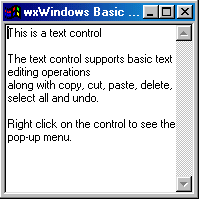 Adding a text control to the empty frame